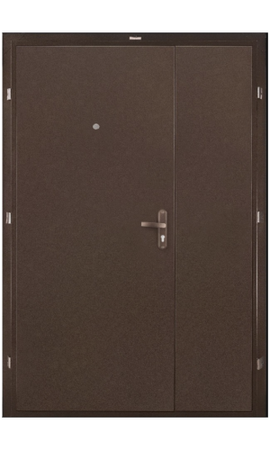 дверь металлическая стандарт дабл