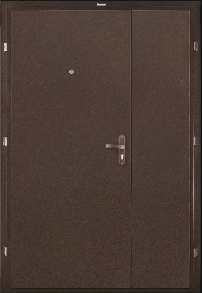 дверь металлическая стандарт дабл